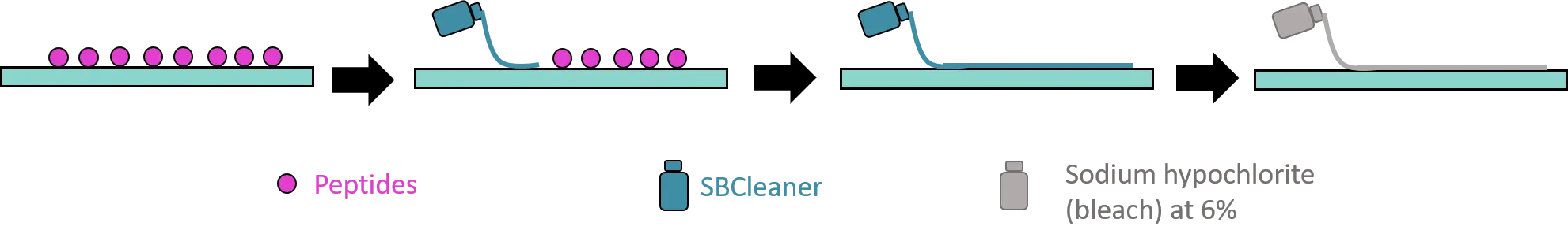 Peptide decontamination guidelines